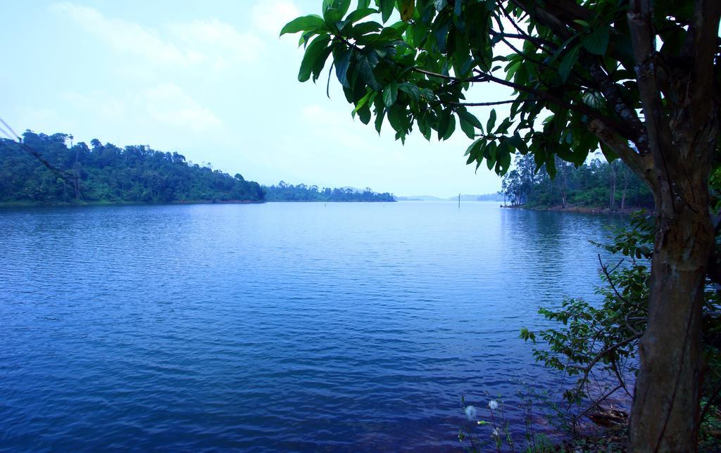 Petals Resorts Wayanad Tariyod Exterior foto